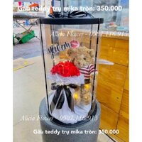 [SHIP HỎA TỐC] HỘP MICA TRONG SUỐT MIX GẤU TEDDY NHỎ ÔM BÓ HOA SÁP - ẢNH SHOP CHỤP