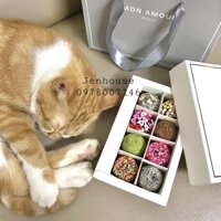 [SHIP HOẢ TỐC] HỘP SOCOLA THÀNH PHẨM 8 VIÊN