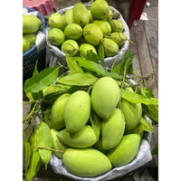 {SHIP HỎA TỐC}Xoài cát hòa Lộc loại 1