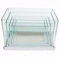 [SHIP TOÀN QUỐC] Bể kính đúc [Size 60-50-40x35x30x23x18cm]  Bể cá mini | Hồ cá thủy sinh