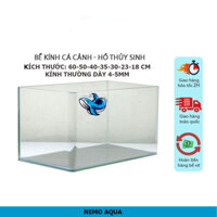 [SHIP TOÀN QUỐC] Bể kính đúc [Size:60-50-40-35-30-23-18cm] Bể cá mini | Hồ cá thủy sinh