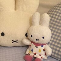 Shop Miffy Rabbit Mify Limited Miffy Rabbit Sang Trọng Búp Bê 25cm Cotton Búp Bê Thoải Mái Ngủ Búp Bê Quà Tặng Giáng Sinh 3.27