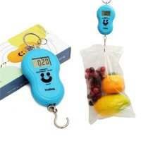 [Shopeetrogia] Cân treo điện tử mini
