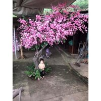 SỈ 10 Cành hoa anh đào lụa [ẢNH THẬT]-Làm cây hoa đào giả trang trí decor ngày TẾT/sự kiện cho nhà hàng, quán xá,nhà cửa