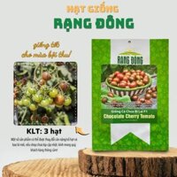 [Sỉ 10 gói] Hạt giống Cà Chua Bi Lai F1 Chocolate (3 hạt) - Hạt giống Rạng Đông Sỉ