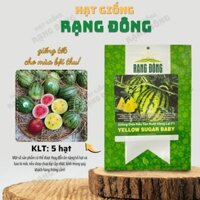 [Sỉ 10 gói] Hạt giống Dưa Hấu Táo Ruột Vàng Baby (5 hạt) - Hạt giống Rạng Đông Sỉ