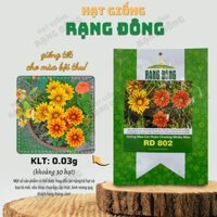 [Sỉ 10 gói] Hạt giống Hoa Cúc Huân Chương Nhiều Màu Rd 802 (0,03g~30 hạt) - Hạt giống Rạng Đông Sỉ