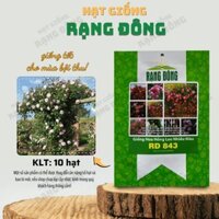 [Sỉ 10 gói] Hạt giống Hoa Hồng Leo Nhiều Màu Rd 843 (10 hạt) - Hạt giống Rạng Đông Sỉ