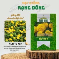 [Sỉ 10 gói] Hạt giống Hoa Vạn Thọ Cao Lỡ F1 Vàng Chanh Rd 854 (10 hạt) - Hạt giống Rạng Đông Sỉ