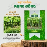 [Sỉ 10 gói] Hạt giống Khổ Qua Xanh Trái Dài Salsa (5 hạt) - Hạt giống Rạng Đông Sỉ