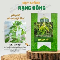 [Sỉ 10 gói] Hạt giống Lá Giang Rado 371 (5 hạt) - Hạt giống Rạng Đông Sỉ