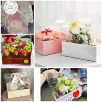 Sỉ 10 Hộp giấy meca trong suốt chữ nhật đựng hoa quả, trái cây, bánh hộp mica. Đế giấy 2 ngăn nhiều màu