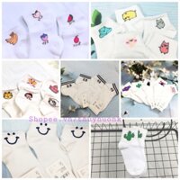 Sỉ 100 đôi tất mẫu tự chọn, sỉ vớ