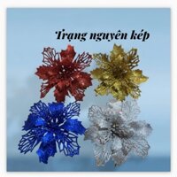 Sỉ 100 hoa trạng nguyên kép đủ màu size 15cm ...
