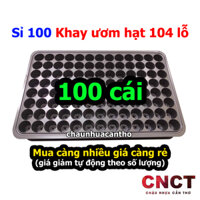 Sỉ 100 Khay nhựa 104 lỗ ươm hạt giống, cây giống (Vỉ ươm hạt) | Chậu Nhựa Cần Thơ