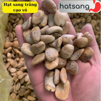 Sỉ 1kg hạt sang, hạt sành trắng rừng Tây Bắc cạo vỏ chữa đau dạ dày đại tràng. Giá cửa rừng hạt sang già lõi trắng