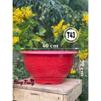 Sỉ 50 cái chậu nhựa trồng cây T43 (miệng 40cm x 22cm) dày dặn
