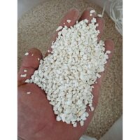 [SỈ] 5KG Bắp Nếp Hạt Bể Khô Làm Xôi Bắp , bắp hầm, bắp giã, bắp nếp giá sỉ, Bắp nếp hạt bể khô giá sỉ 🌽 Nongsangiasi