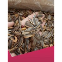 Sỉ 5kg hạt hướng dương vị táo đỏ Cđẹp