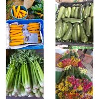 Sỉ bí ngòi xanh 9k vàng 11k, cần tây 8k tại đà lạt