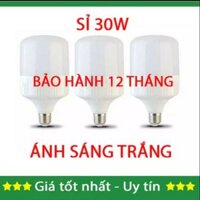 Sỉ BỘ 3 BÓNG ĐÈN LED 30W SÁNG TRẮNG