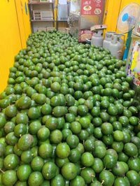 Sỉ bơ booth 11k, chuối laba 10k tại đà lạt