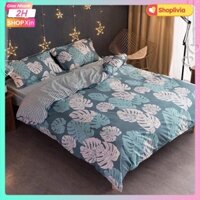 Sỉ bộ ga gối 3 món kt 1m2x2m,1M6,1M8 cotton poly hcm mẫu lá khoai