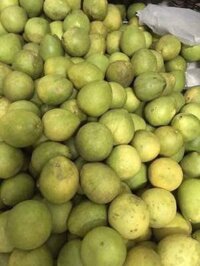 Sỉ bưởi năm roi 310k/bao 27 quả