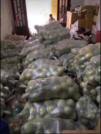 Sỉ bưởi năm roi thả dọc quốc lộ từ Vĩnh long ra hà nội