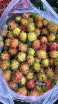Sỉ chôm chôm thái 18k chôm nhãn 15k, cam xoàn 20k, cam sành 20-27k, bưởi 20k bao cước