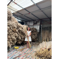 Sỉ Combo 50 bông hoa cỏ lau khô tự nhiên 1.5m trang trí tiệc, cổng cưới, sân khấu cưới