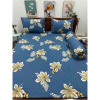Sỉ combo ga chun trải giường và 2 vỏ gối polly cotton nhiều mẫu, ga trải giường kích thước 2mx2m2