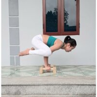 Sỉ  Dụng Cụ Hít Đất gỗ ( Gym, Street Workout) Parallettes