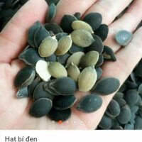 sỉ giá gốc hạt bí mèo đen 500g - 1kg ( sống)