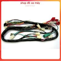 Sỉ giá rẻ_ Bộ dây điện sườn dream wave , rstq , sirius tq , , win , , 81.82 , 67 , ws110 tq