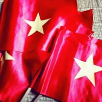 [sỉ ib] 50 cờ vẫy + cán.