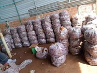 Sỉ khoai lang nhật gia lai 7k 10k 15k