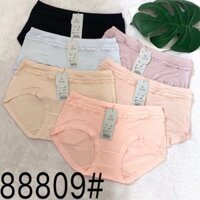 {Sỉ = lẻ} 10 quần lót nữ cotton cao cấp viền ren, quần lót 88809