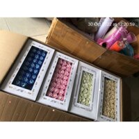 Sỉ lẻ hoa sáp.