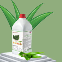 [Sỉ-Lẻ] HƯƠNG LÁ DỨA MAURI - CHAI 1KG