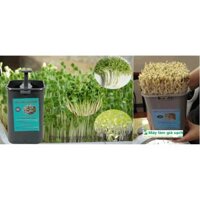 Sỉ máy làm giá đỗ sạch kèm đỗ gv 102