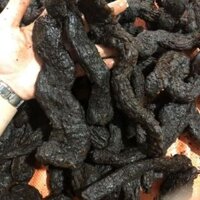 Sỉ như lẻ nhục thung dung 500g - 1kg