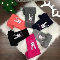 Sỉ quần legging thỏ