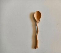 Sỉ sll thìa cành cây lỗ