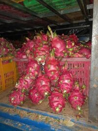 Sỉ thanh long ruột đỏ 7k bao cước biên hòa, sài gòn cho kiểm hàng trước khi nhận