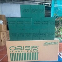 Sỉ thùng 20 viên, Xốp xanh cắm hoa tươi, hoa sáp, mút xốp Oasis Advantage loại 1