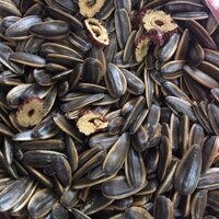 Sỉ thùng 5kg hạt hướng dương vị táo đỏ, vị óc chó