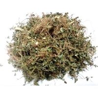 Sỉ toàn quốc giá rẻ 2kg cây chó đẻ răng cưa ( diệp hạ châu)