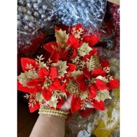 Sỉ túi hoa trạng nguyên 50 bông