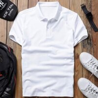 [SIÊU ĐẸP] Áo thun nam polo cổ bẻ . ᶻ